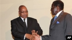 South African President Jacob Zuma and President Robert Mugabe, right, shake hands after discussions in Harare, March 18, 2010.