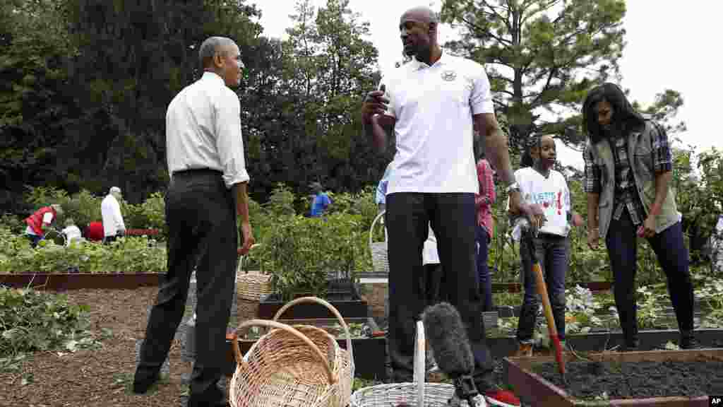 President Barack Obama talks with retired NBA basketball player Alonzo Mourning, second from left, as first lady Michelle Obama works with kids during the harvest of the White House Kitchen Garden on the South Lawn White House in Washington, Oct. 6, 2016.