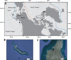 Fig. 1 Map of the Arctic and selected sites discussed in the study, including the study site.2. Sea ice diatom record from GC-33 (14), 3. Uk’37 alkenone paleotemperature record (13),This is an open-access article distributed under the terms of the Creative Commons Attribution-NonCommercial license, which permits use, distribution, and reproduction in any medium, so long as the resultant use is not for commercial advantage and provided the original work is properly cited.