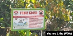 Papan peringatan "fokus keong" di desa Lengkeka, 6 Agustus 2019. (Foto: VOA/Yoanes Litha)