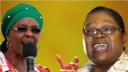 Interview With Obert Gutu And Gadzira Chirumanzu on Grace Mugabe Rallies