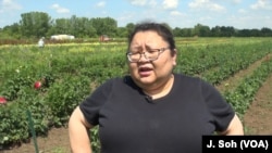 Pakou Hang, a co-founder of HAFA, says the association was formed to even the playing field for Hmong farmers who were finding it hard to compete.
