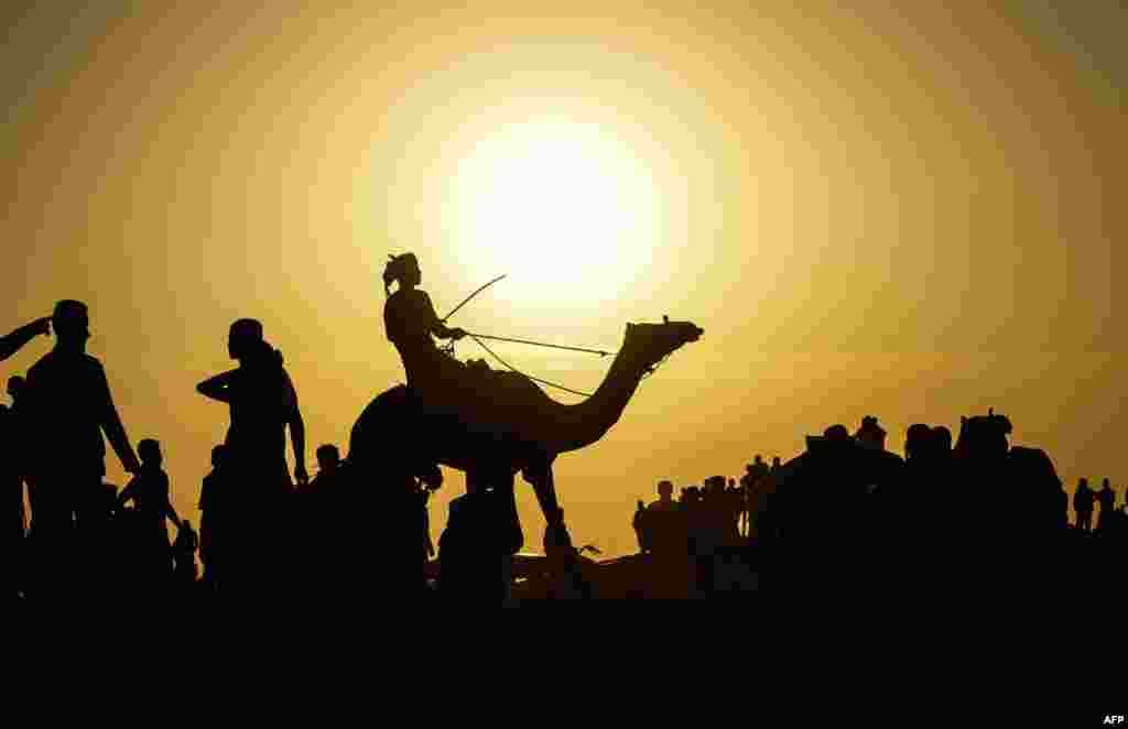 A Palestinian jockey is silhouetted as he competes in a local camel race held at the destroyed Gaza airport, in Rafah in the southern Gaza Strip, Oct. 20, 2019.