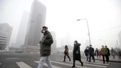 Quiz - Air Pollution Affects Intelligence