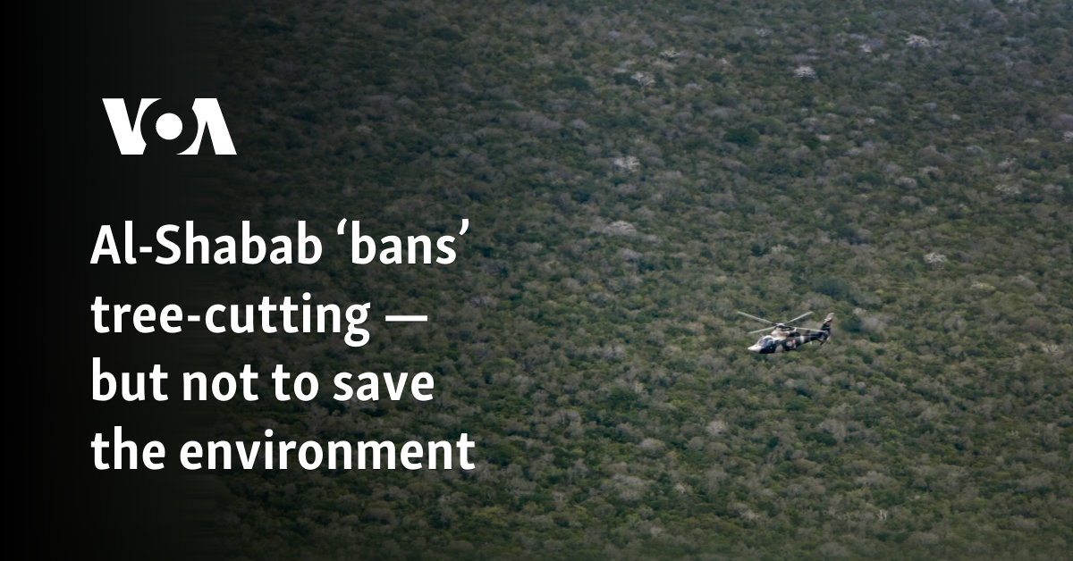 Al-Shabab bans tree felling – but not to save the environment