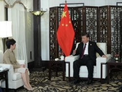 中国国家主席习近平在上海接见香港特首林郑月娥。（2019年11月4日）