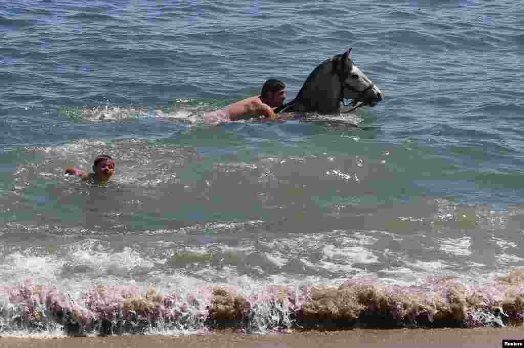 Seorang pria berenang dengan kudanya di pantai Valparaiso, Chile.