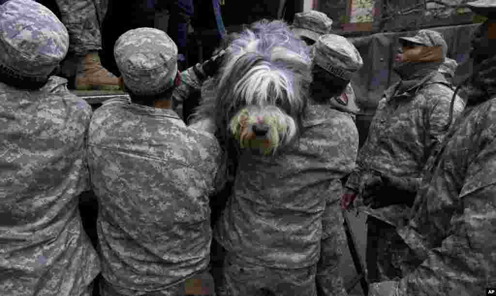 Los miembros de la Guardia Nacional sostienen a una enorme mascota de nombre Shaggy durante las operaciones de rescate en Hoboken, Nueva Jersey. Shaggy se puso a salvo junto a su due&ntilde;a.