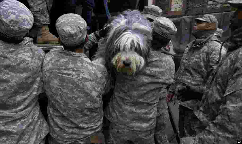 Los miembros de la Guardia Nacional sostienen a una enorme mascota de nombre Shaggy durante las operaciones de rescate en Hoboken, Nueva Jersey. Shaggy se puso a salvo junto a su dueña.