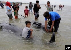 Warga memeriksa bangkai paus pilot yang terdampar di pantai di Bangkalan, di Pulau Madura, Jumat, 19 Februari 2021.
