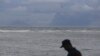 Cuaca Hambat Upaya Inspeksi Tsunami di Indonesia