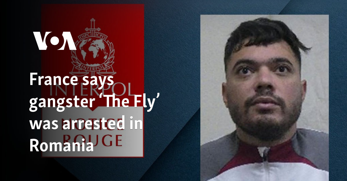 France says gangster ‘The Fly’ was arrested in Romania