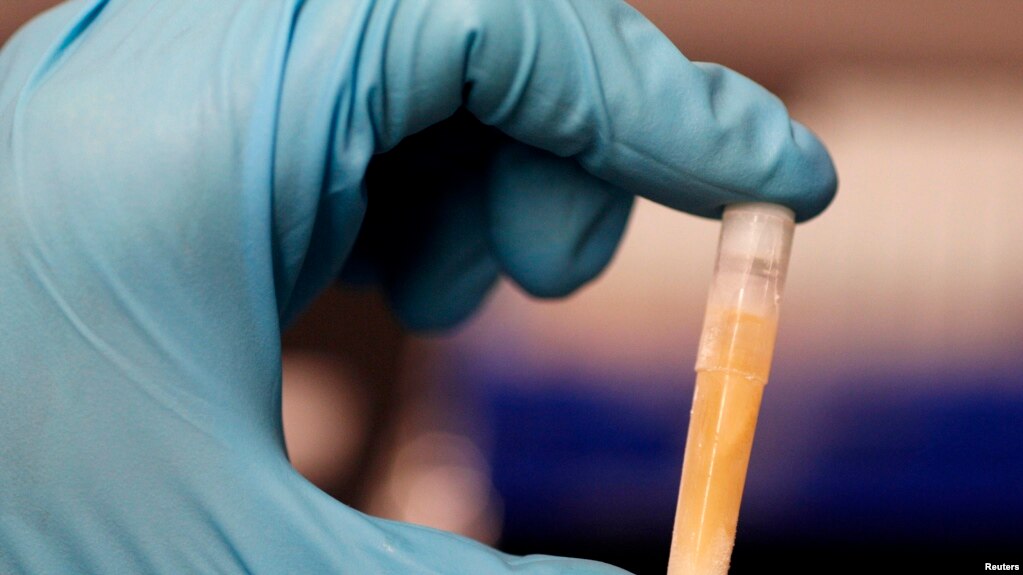 Theo truyền thống, những đối tượng đầu tiên để tiêm vaccine khan hiếm là nhân viên y tế và những người dễ bị nhiễm bệnh nhất.