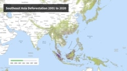 Southeast Asia Deforestation from 2001 to 2020