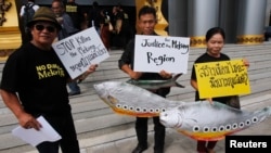 Villagers hold fish-shaped signs and placards while they pose for photographers at Thailand's Administrative Court in Bangkok, June 24, 2014. 