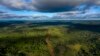 Vue aérienne de la forêt amazonienne, État du Para, Brésil, 13 mars 2019. (Mauro Pimentel/AFP)