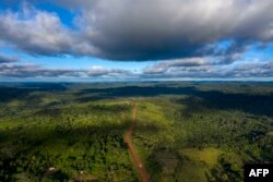 Pemandangan dari udara Jalan Transamazonica (BR-230) dekat Medicilandia, negara Bagian Para di Brasil, yang membelah kawasan Amazon, 13 Maret 2019. Menurut data LSM Imazon, deforestasi di kawasan Amazon meningkat 54 persen pada Januari 2019. (Foto: AFP)