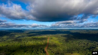 Un Accordeoniste Bresilien Defend L Amazonie En Chantant Au Fil De L Eau