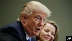 President Donald Trump meeting with business leaders at the White House.