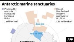 南極海洋保護區。法新社