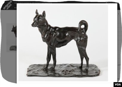 Chó Phú Quốc vẫn còn hay đã tuyệt chủng?