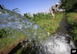 A Sudanese farmer prepares his land for irrigation on the banks of the river Nile in Khartoum (file photo).