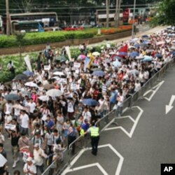 香港舉行2011年七一大游行