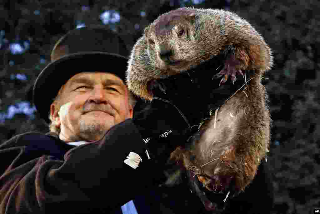 Groundhog Club handler John Griffiths holds Punxsutawney Phil, the weather prognosticating groundhog, during the 131st celebration of Groundhog Day on Gobbler&#39;s Knob in Punxsutawney, Pennsylvania. Phil&#39;s handler said that the groundhog has forecast six more weeks of winter weather.