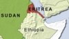 UN Investigator: Too Early to Lift Eritrean Sanctions