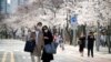 Janubiy Koreyada karantindagi odamlar mobil ilova orqali nazorat qilinmoqda