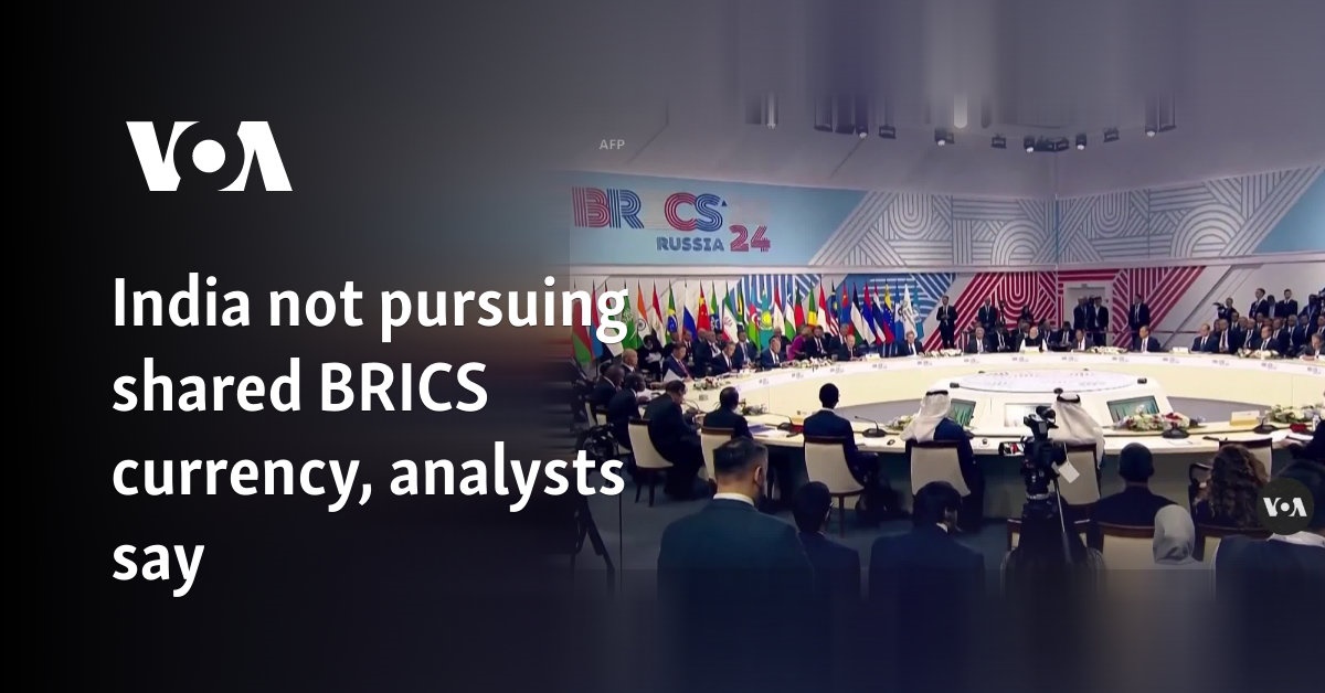 India not pursuing shared BRICS currency, analysts say