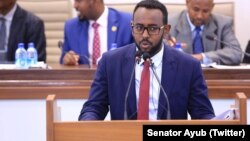 Senator Ayuub