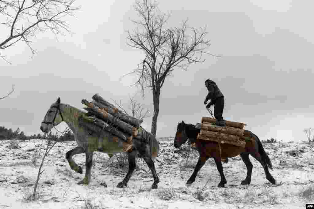 A woodcutter rides horses laden with wood during a deforestation near Sofia, Bulgaria.