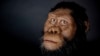 Ethiopian Fossil Face Could Be Ancestor of Famed ‘Lucy’ 
