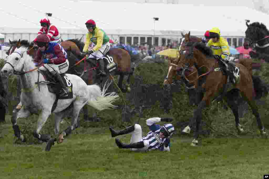 Jockey Nick Scholfield, bottom center, tumbles after falling from Teaforthree at the Chair during the Grand National horse race at Aintree Racecourse Liverpool, England.