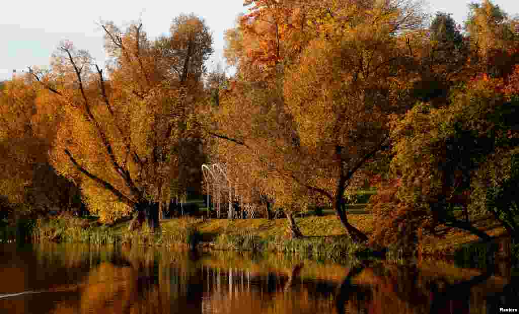 Autumn colors are seen on foliage in a park in Minsk, Belarus, Oct. 8, 2018.