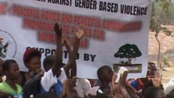 Report on Gender Activism Filed By Arthur Chigoriwa