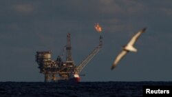 Une mouette vole devant une plate-forme du champ pétrolifère de Bouri, à environ 70 miles nautiques au nord de la côte libyenne, le 5 octobre 2017.