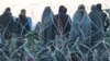 Med Group: односторонні дії не врегулюють кризи з мігрантами