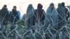 Migrants stand behind a border fence at the Greek-Macedonian border, after additional passage restrictions imposed by Macedonian authorities left hundreds of them stranded near the village of Idomeni, Greece, Feb. 23, 2016. 