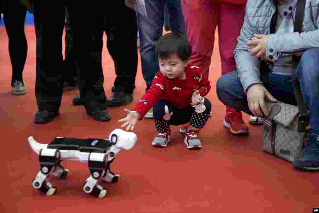 A child reaches out to a robotic dog displayed at the World Robot Conference in Beijing, China, Friday.