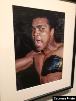 ផ្ទាំង​រូប​ថត​លោក Muhammad Ali ដែល​គេ​ឲ្យ​ឈ្មោះ​ថា "The Mouth That Roared"។ (រូបថត​ផ្តល់​ឲ្យ​ដោយ George Kalinsky/New York Historical Society)