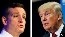 Ted Cruz (à gauche) et Donald Trump, tous deux candidats républicains, s'affrontent pour remporter la primaire en vue des élections présidentielles de 2016 aux Etats-Unis.