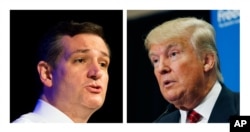 Ted Cruz (left), Donald Trump (right)