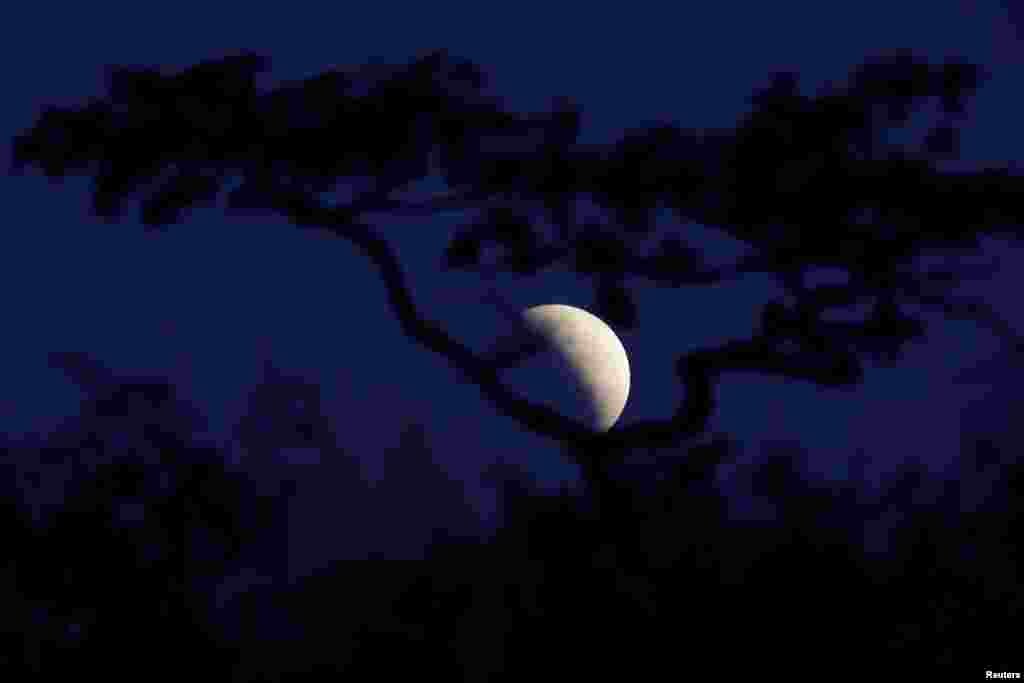 دنیا کے بیشتر ممالک کے ساتھ برازیل میں بھی چاند گرہن دیکھا گیا۔ برازیل کے دارالحکومت برازیلیا میں چاند گرہن کا ایک منظر.