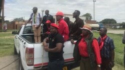 UChamisa Uthi Kuzaba Lokugedla Kwamazinyo Lonyaka eZimbabwe