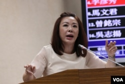 国民党立法委员李彦秀28日在立法院质询。