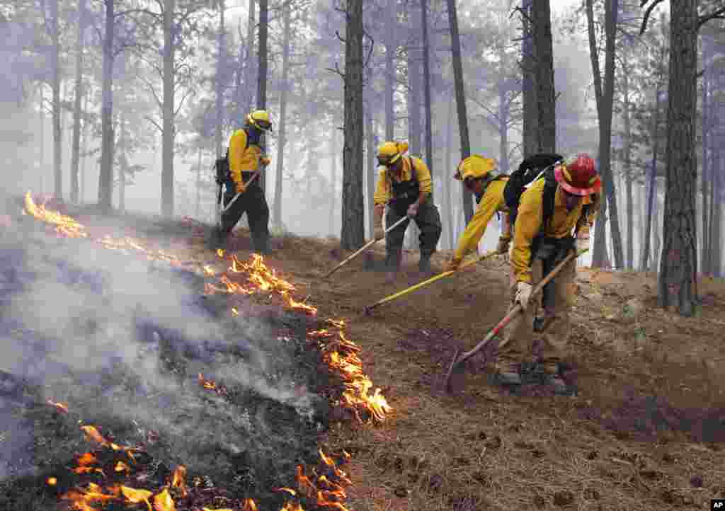 Black Forest Fire Department officers burn off natural ground fuel in an evacuated neighborhood north of Colorado Springs, Colorado, June 12, 2013.