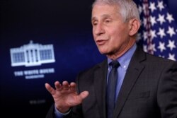 Dr. Anthony Fauci, pakar penyakit menular AS