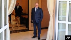 Presiden Rusia Vladimir Putin menunggu kedatangan Perdana Menteri Jepang Shinzo Abe di kediamannya di Sochi. (Foto: Dok)